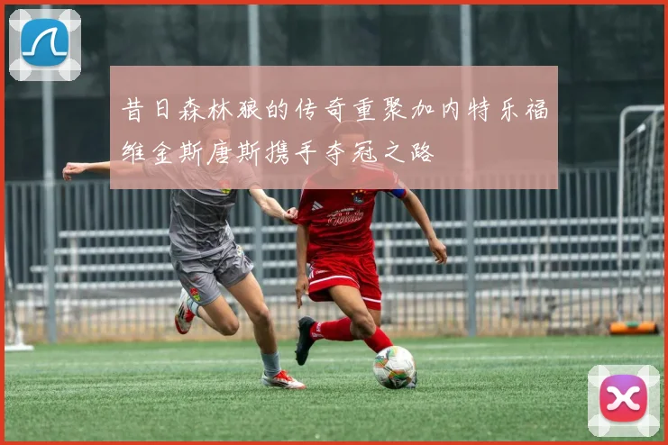 昔日森林狼的传奇重聚加内特乐福维金斯唐斯携手夺冠之路